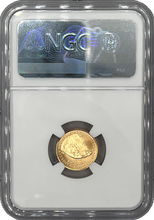 Load image into Gallery viewer, 2021 Gold Eagle G$5 Portrait T-2 MS70