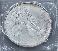 Load image into Gallery viewer, 2020 $1 Silver Eagle Walking Liberty
